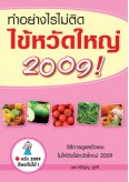 ทำอย่างไรไม่ติดไข้หวัดใหญ่ 2009